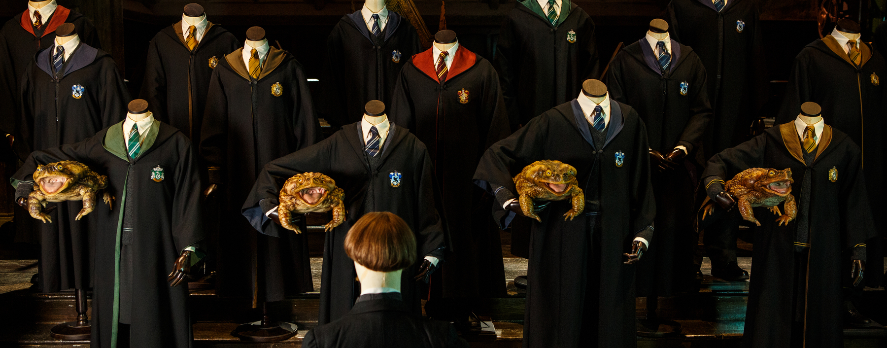 Harry Potter und der Kröten-Chor | DiePresse.com
